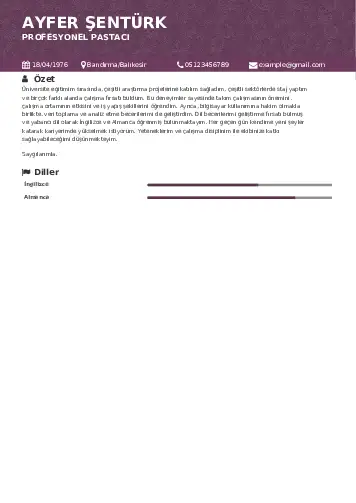 Pastacı Cv Örnekleri cv indir